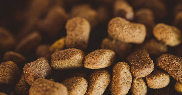 Flexadin vs Dasuquin: which is right for your dog?