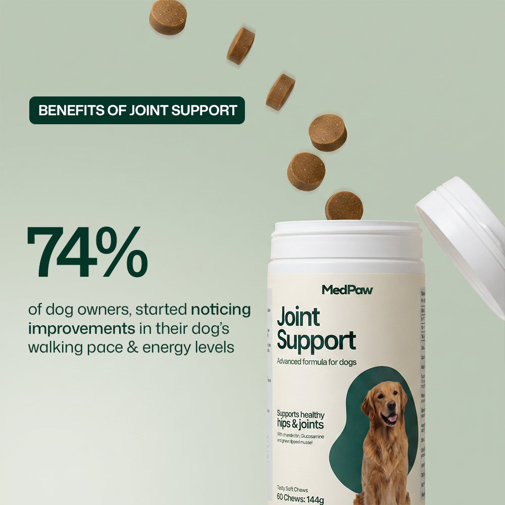MedPaw hip and joint supplement for dogs of all sizes