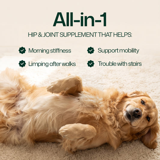 MedPaw hip and joint soft chews for dogs