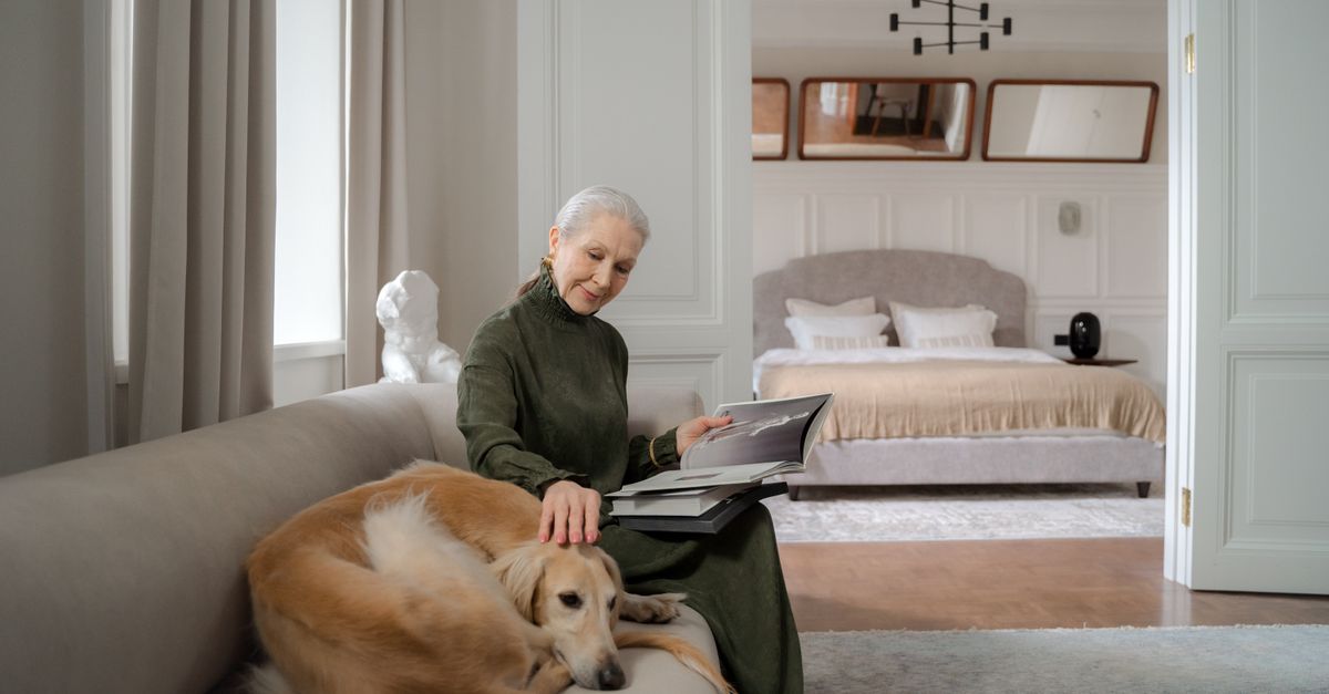 The best beds for senior dogs