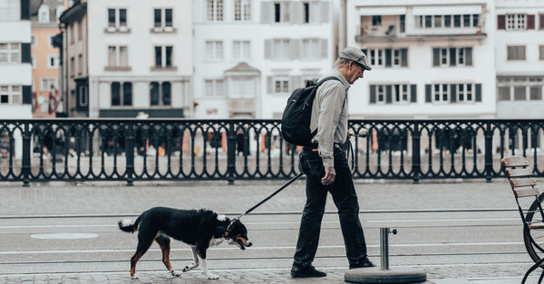 Elderly man in hat and backpack strolling with a dog along a charming European street.