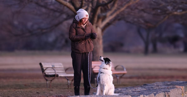 A woman walks her dog in a serene winter park landscape.