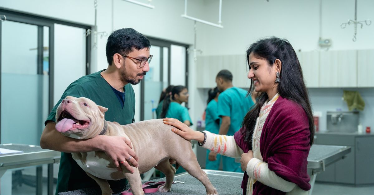 Why does my vet want to watch my dog walk?