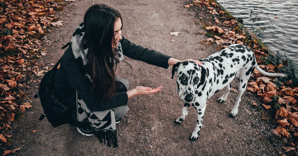 A woman interacts with a Dalmatian dog on an autumn pathway by a lake.