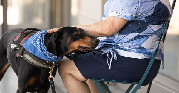 A senior woman is sitting outdoors with her attentive therapy dog. The dog wears a service vest and blue bandana.