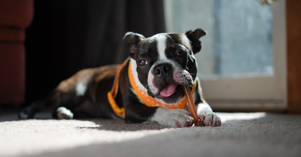 Flexadin vs MedPaw: an honest comparison
