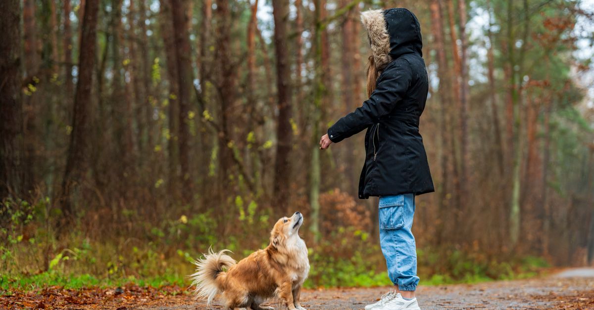 Can you give a joint supplement with calming supplements?