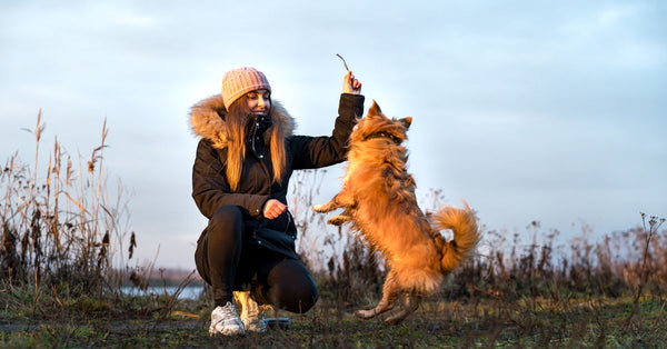 A woman enjoys an autumn day playing with her jumping dog in a field.