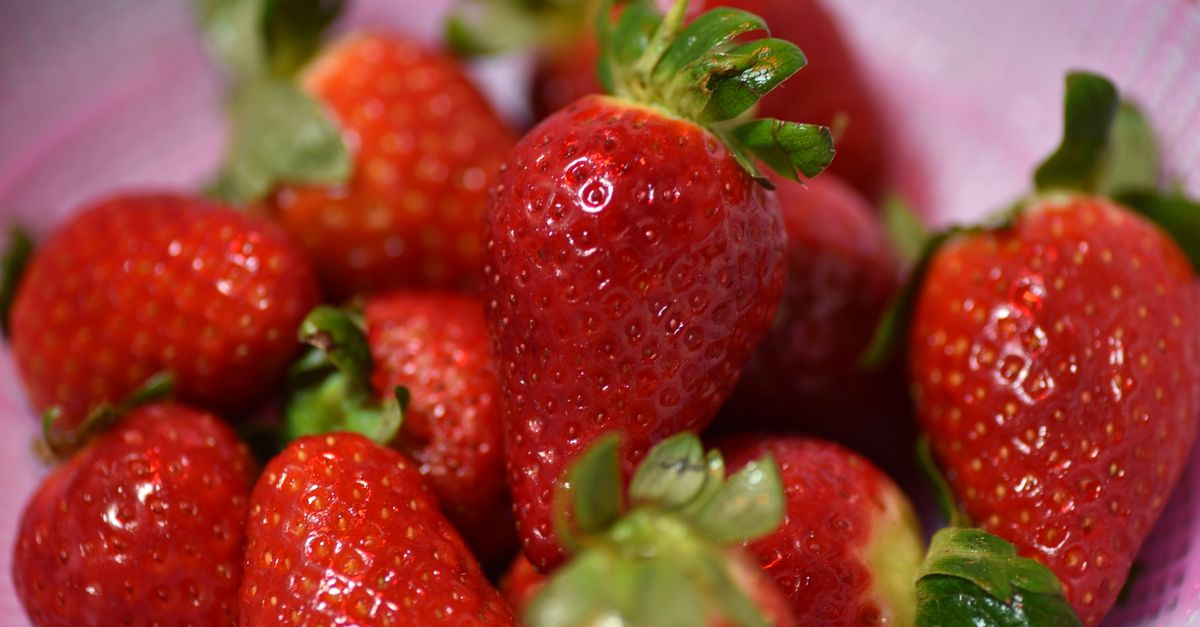 Are strawberries safe for dogs?