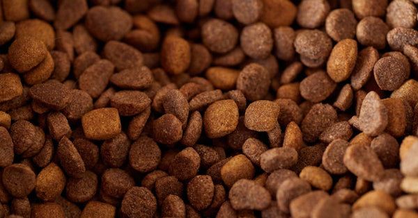 An appetizing close-up of brown dry pet food kibble, perfect for pet nutrition imagery.