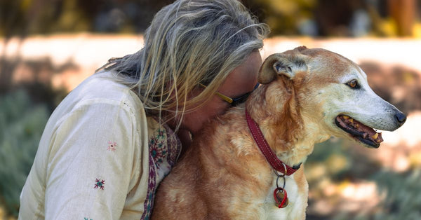 Beautiful outdoor moment capturing a tender interaction between a person and their beloved dog.