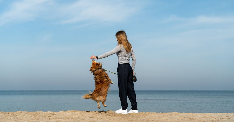 A woman interacts playfully with her dog on the sunny beach in Kołobrzeg, Poland.