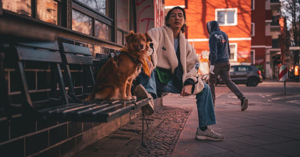 Chaotic street scene in Berlin featuring a person and a dog sitting on a bench with a passerby in the background.