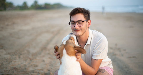 A serene moment of a man greeting his dog on Playa Blanca, Guerrero, Mexico during sunrise.