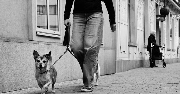 Black and white street scene of a person walking a dog, with an elderly person in the background.