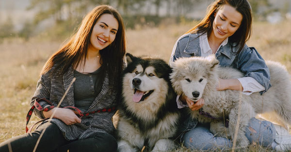 Two women smiling outdoors, enjoying time with their Alaskan Malamute and Samoyed dogs.