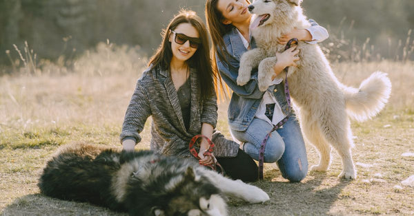 Two women in a grassy field playing with their fluffy dogs, enjoying a sunny day.