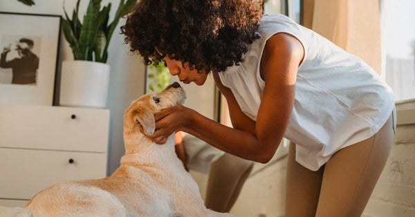 Can you give a joint supplement with omeprazole?