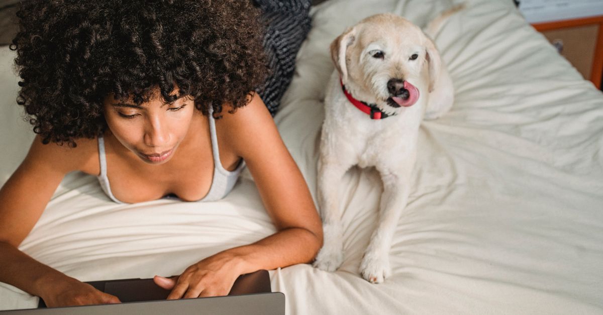 Are online pet pharmacies safe?
