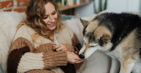 Smiling woman in knitted sweater petting her dog on a cozy couch.