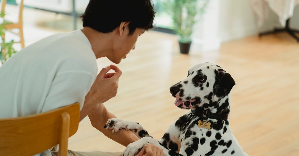 The best joint supplement for a dog with carpal hyperextension