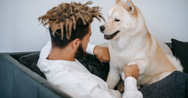 The best joint supplement for a dog with a hip luxation