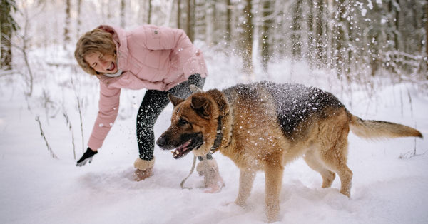 A woman with her German Shepherd enjoying a playful moment in a winter wonderland.