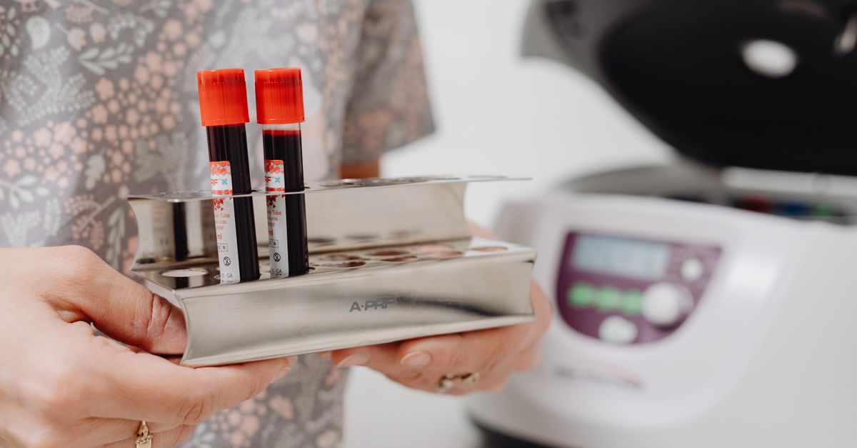 Blood tests for dogs on long term pain relief