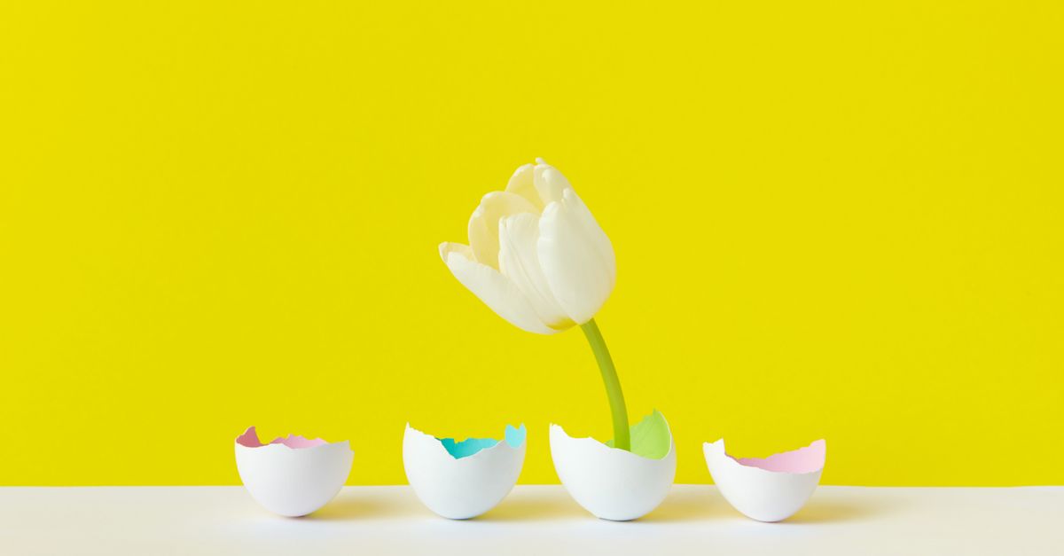Eggshell membrane for dogs