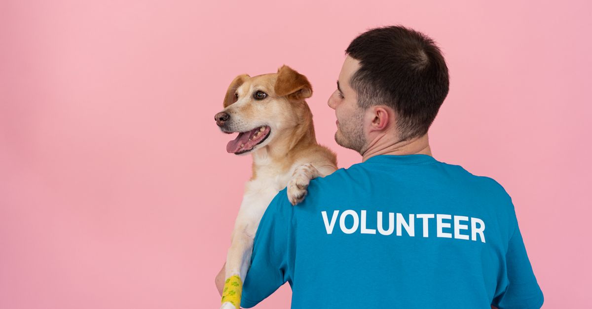 How to help a dog with stiff hips