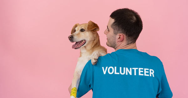 A cheerful volunteer holding a happy dog against a pink background.