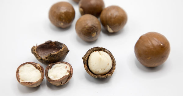 Detailed view of raw macadamia nuts showing whole and open shells on a white background.