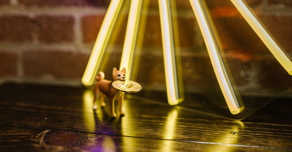 Figurine of a dog holds a Bitcoin coin on a wooden table with a glowing background.