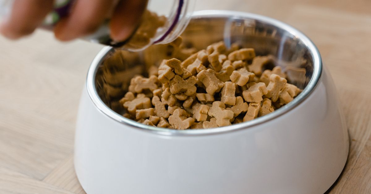 The best diet for a dog with arthritis
