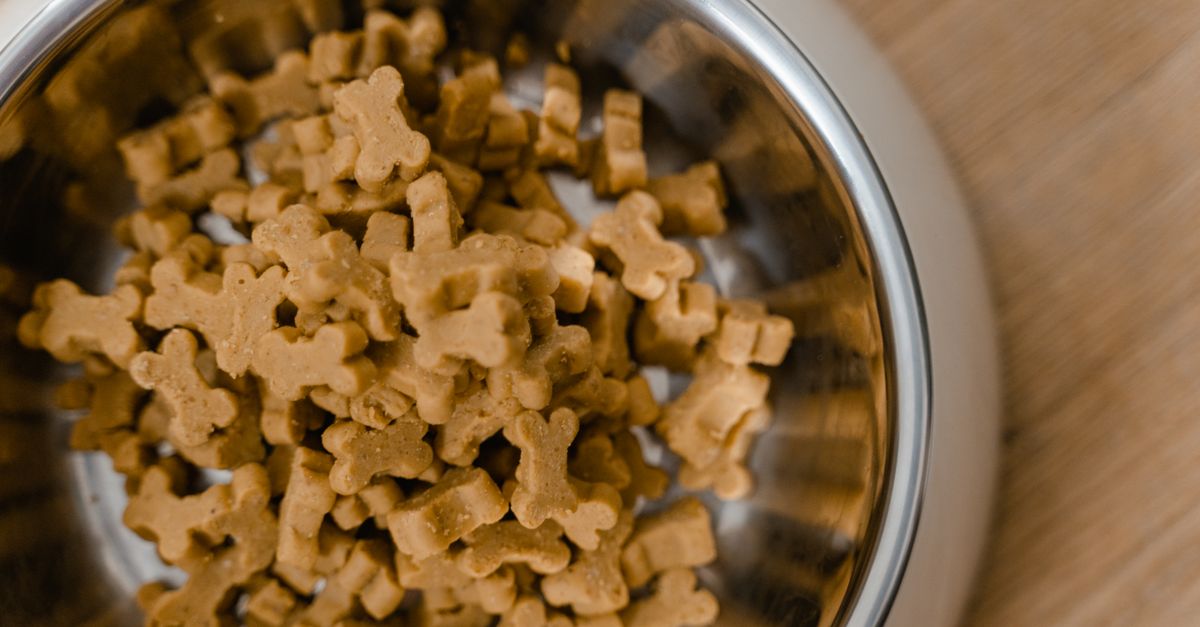 Bone broth for dogs: joint benefits and how to make it