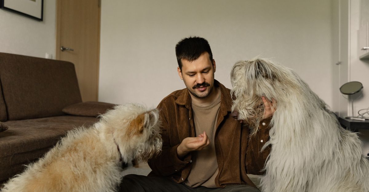 Pet Gently dosage guide: how much to give by weight