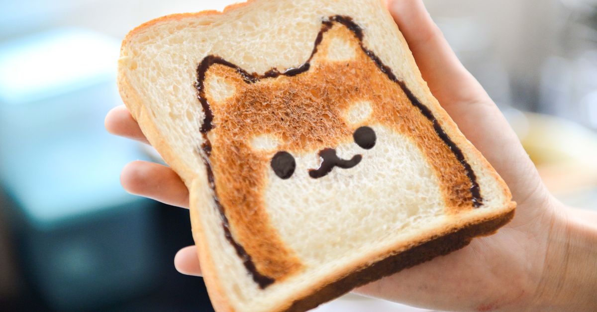 Bread for dogs: the safe amount