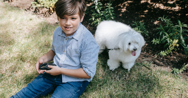 A young boy sitting in the grass with his fluffy white dog on a sunny day.