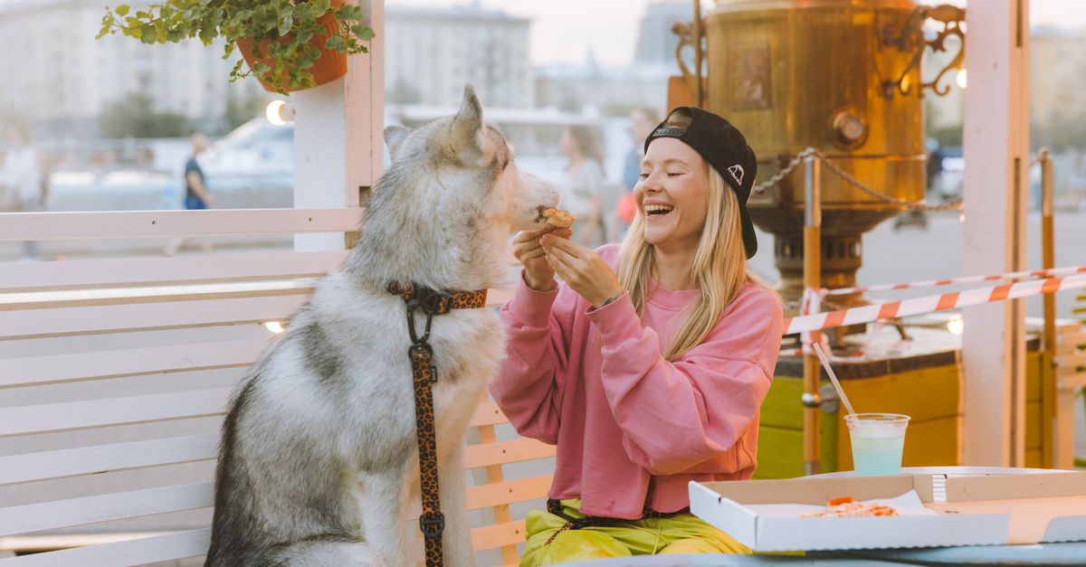 Can dogs eat yoghurt? What to know first