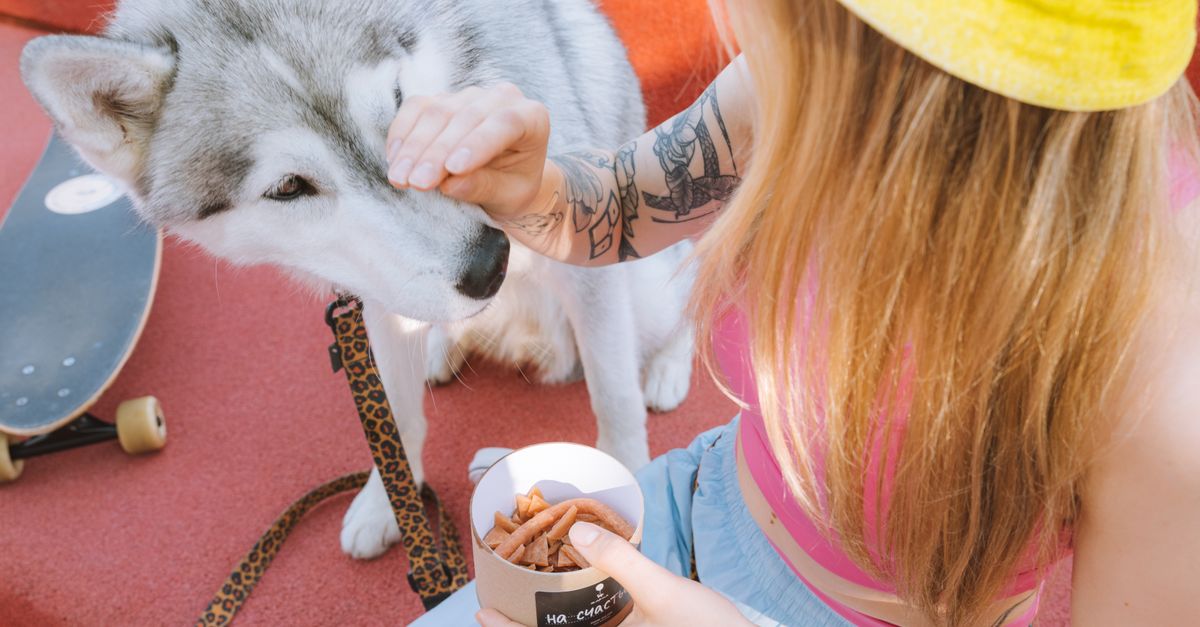 The best joint supplement for Cavapoochons