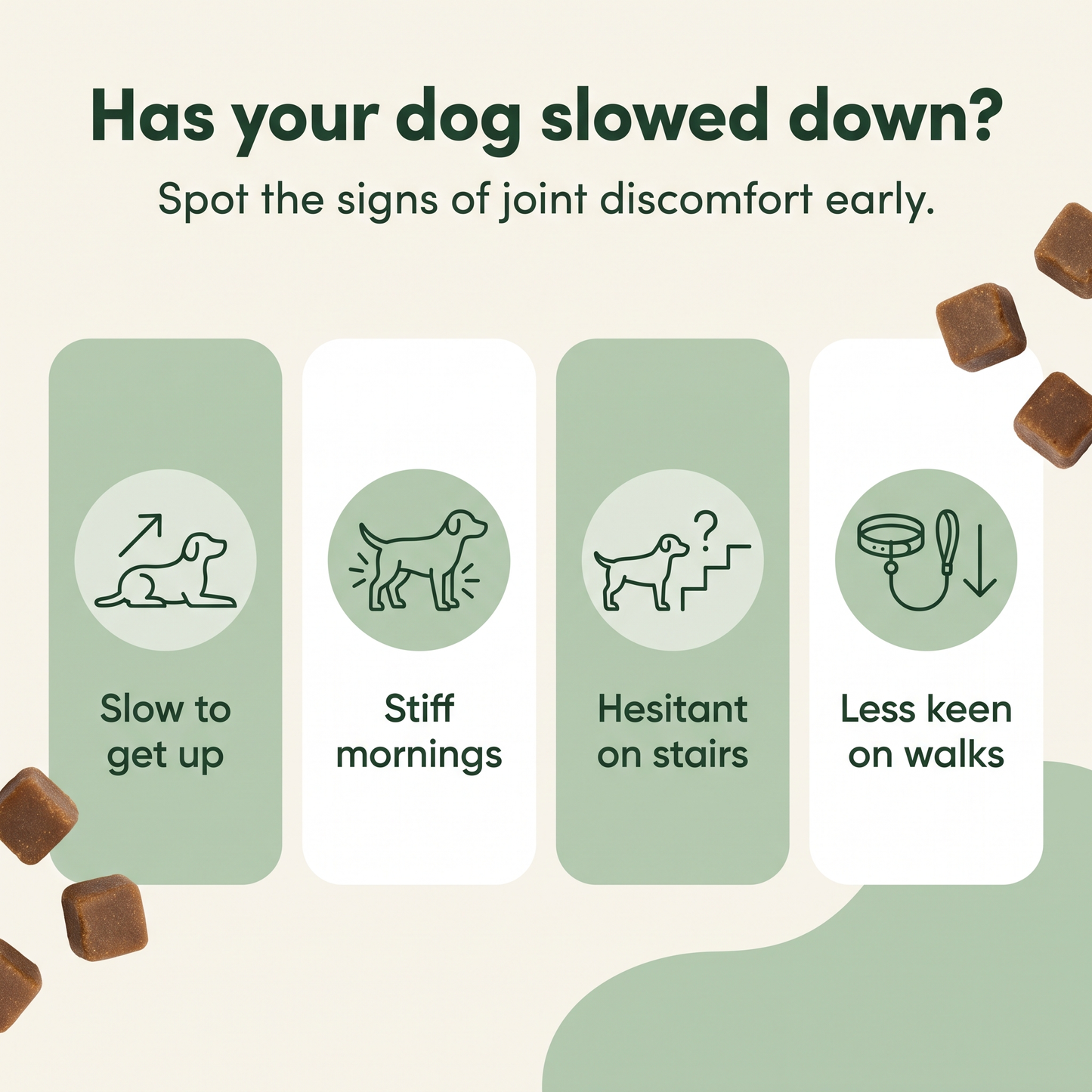 MedPaw glucosamine and green-lipped mussel dog chews