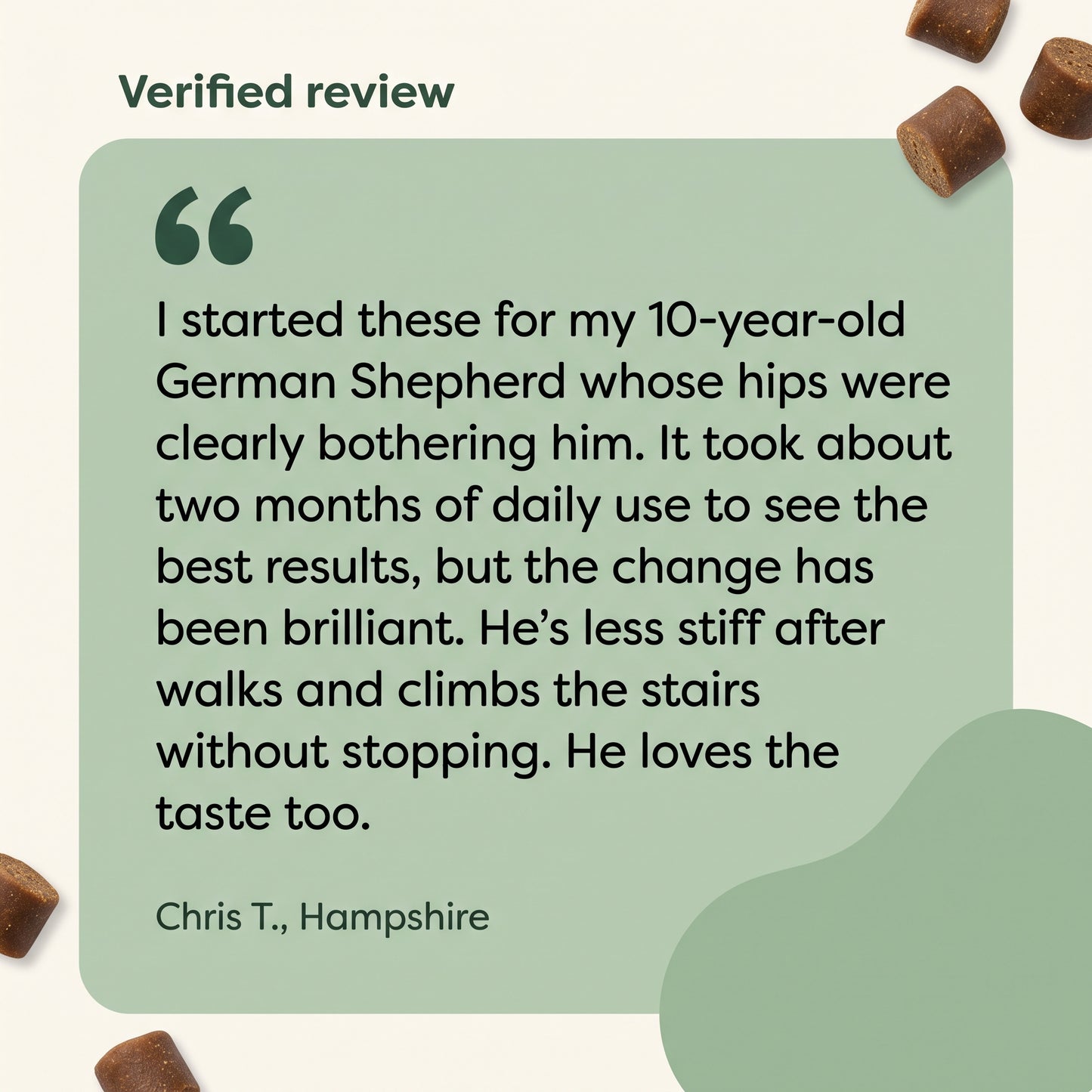 Hip & Joint Dog Supplement