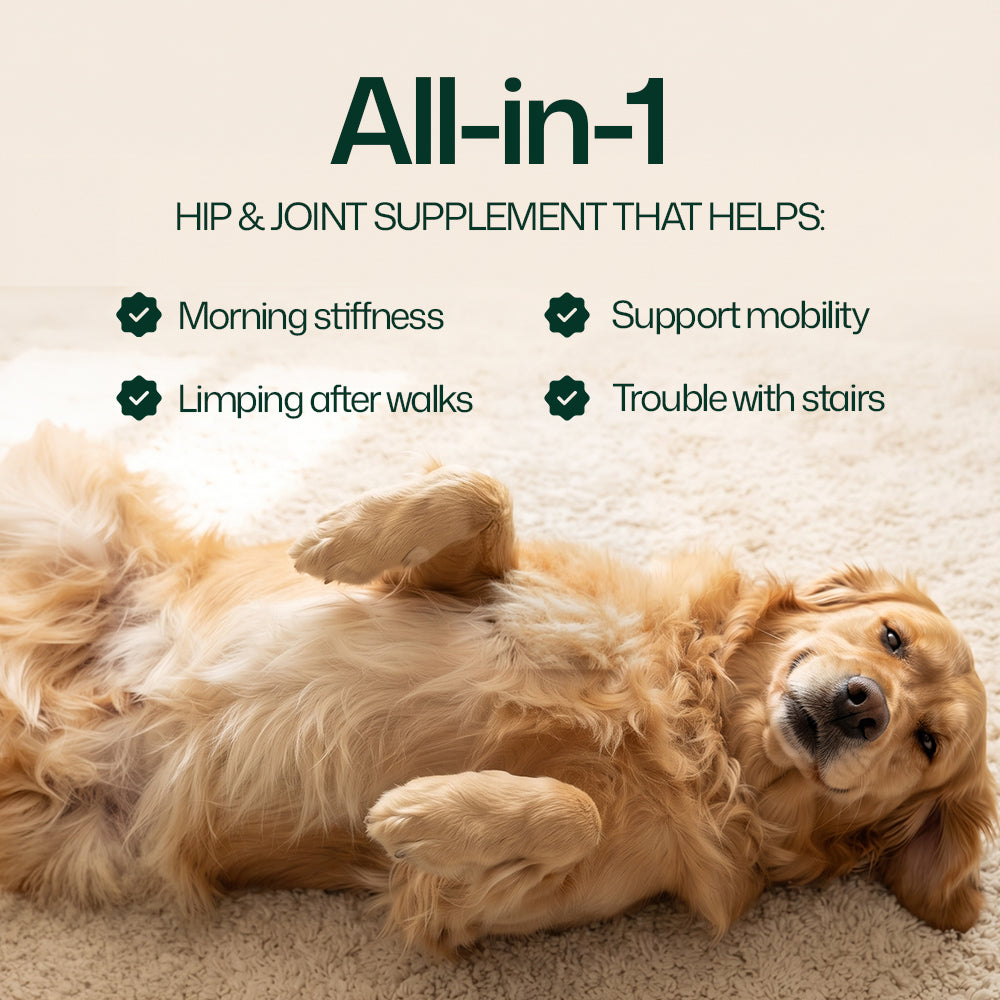 MedPaw hip and joint soft chews for dogs
