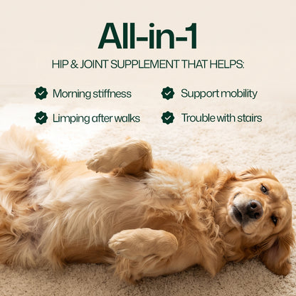 MedPaw hip and joint soft chews for dogs