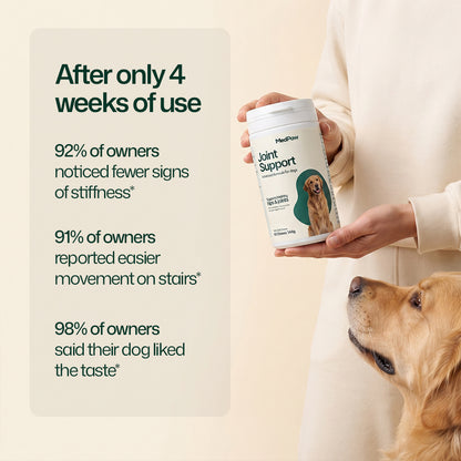 MedPaw dog joint supplement with glucosamine and green-lipped mussel